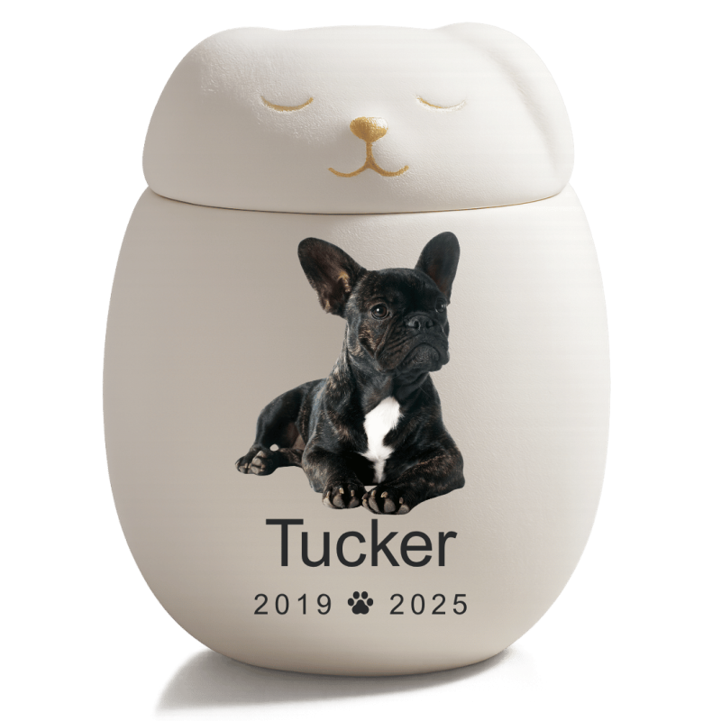 Personalised Ceramic Dog Urn with Sleeping Pet Lid – Pet Cremation Urn for Ashes with Dog's Photo, Name & Dates