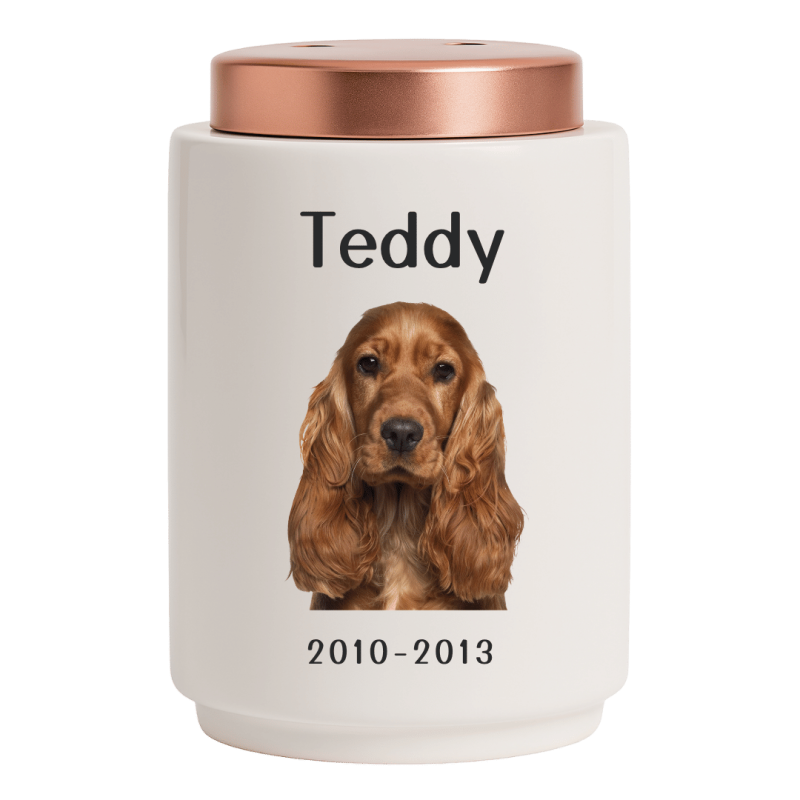 Personalised Ceramic Dog Urn with Photo –  Pet Cremation Urn for Ashes with Name, Dates & Stainless Steel Lid