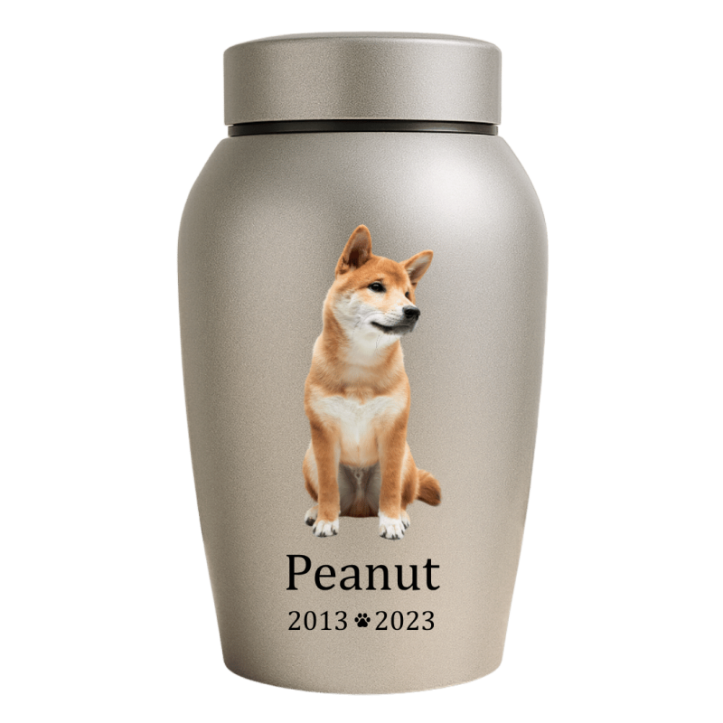 Urne pour chien en acier inoxydable personnalisée avec nom, dates & photo complète de l’animal