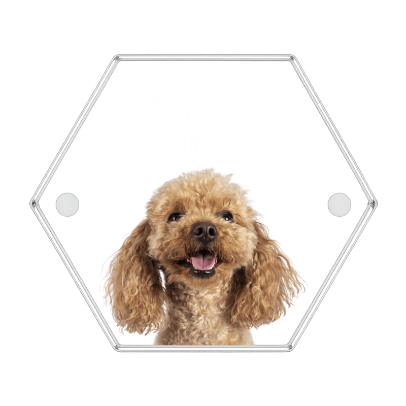 Personalised Acrylic Dog Keepsake with Photo – Custom Pet Fur or Tooth Memorial Box with Name & Dates
