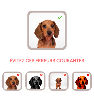 Pour un résultat clair et net