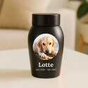 Urne pour chien en acier inoxydable personnalisée avec nom, dates & photo dans un cadre halo