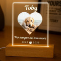 Personalised Dog Memorial Light with Photo – Rectangular LED Pet Tribute Lamp with Engraved Name & Dates on Acrylic Plaque