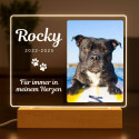 Lampe cadre photo chien personnalisé – Plaque commémorative rectangulaire en acrylique avec LED avec nom, dates & message gravés