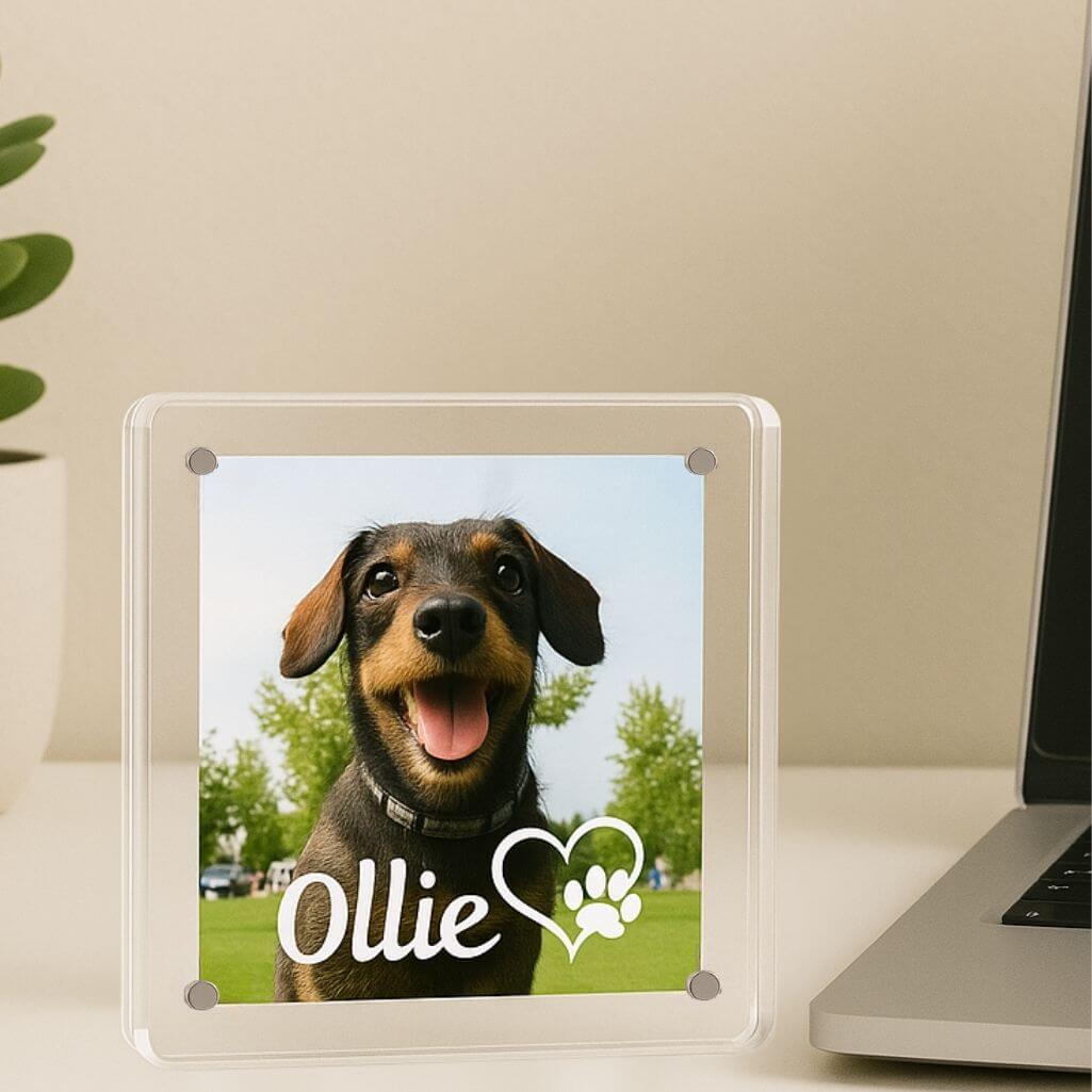 Cadre commémoratif chien personnalisé en acrylique – Plaque photo avec nom et motif cœur-patte