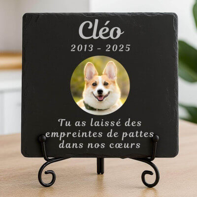 Pierre commémorative chien carrée personnalisée...