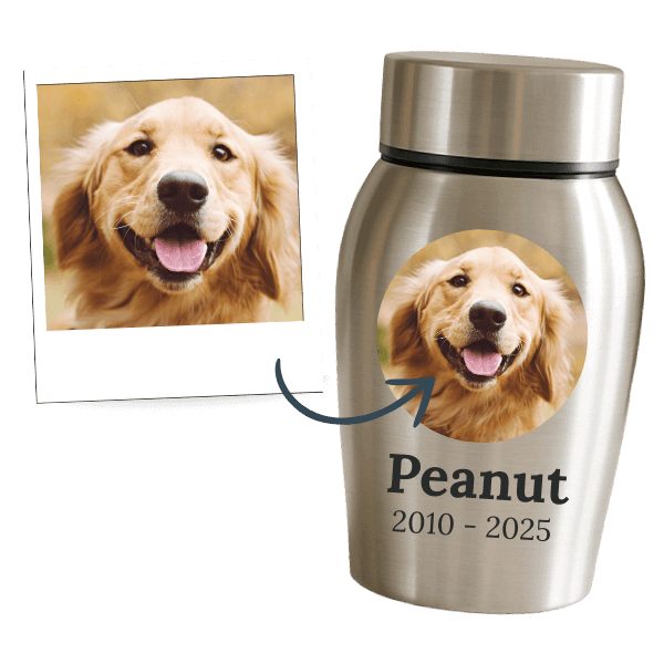Urne personalizzate per cani